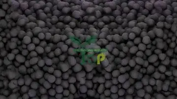 Vermicompost Granules